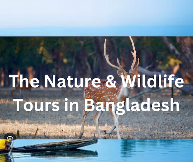 The Nature & Wildlife Tours in Bangladesh