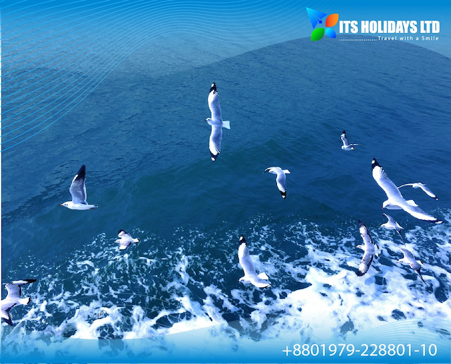 saint-martins-tour-package-with-bangla