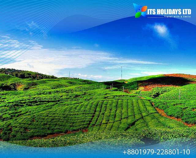 top-bangladesh-tour-operators