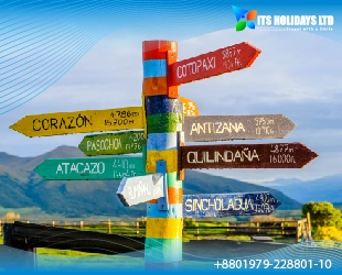 Best Travel Technology Company