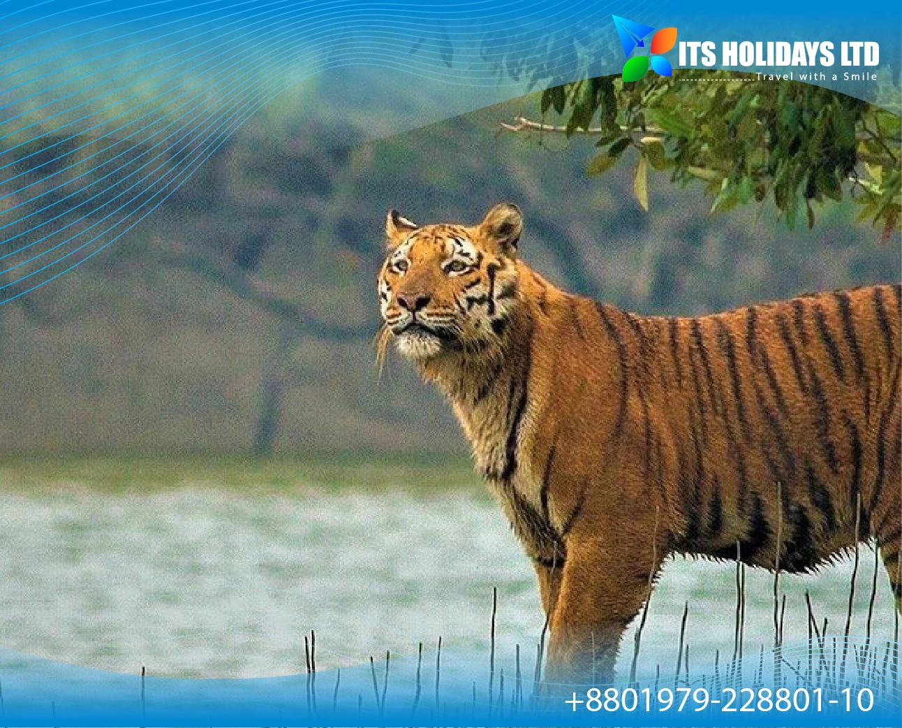 Sundarbans: The World’s Largest Mangrove Forest